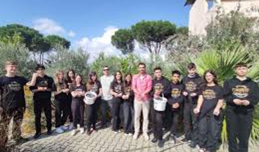 Okul bahçesinde zeytin yetiştirdiler