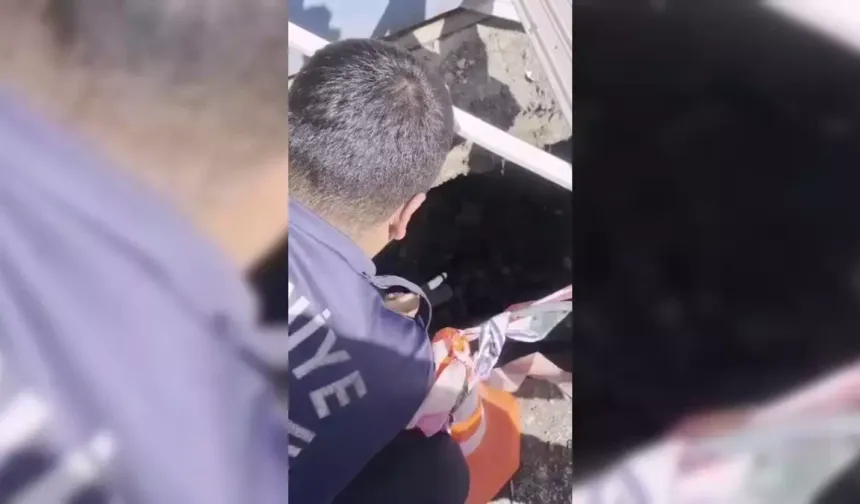 Osmaniye'de yavru kedi kurtarıldı