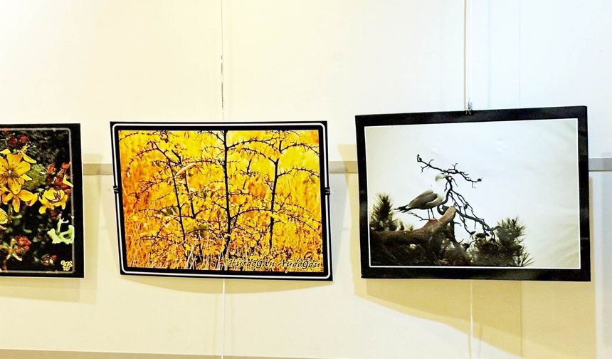 Köy Derneğinden Dört Günlük Sanat Programı ve Destek Çağrısı