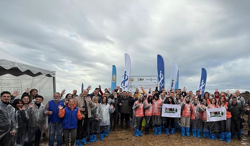 İklim İçin Büyük Adım: Çanakkale’de 20 Bin Fidan Dikildi