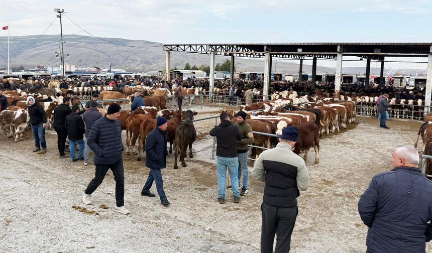 Sorgun'da hayvan pazarı yeniden açıldı