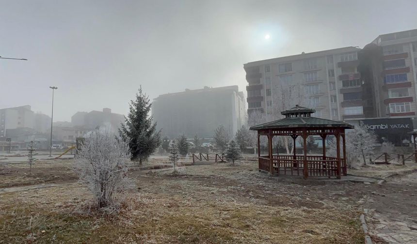 Ardahan'da sis ve kırağı etkili oldu!