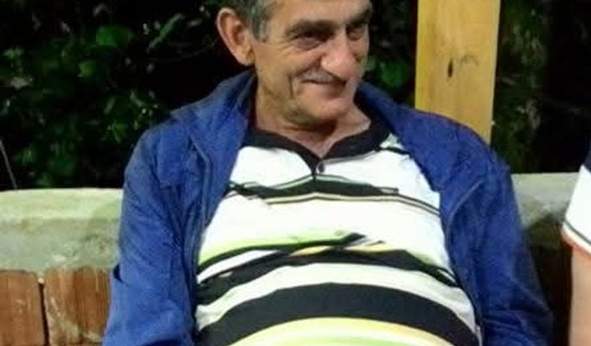 Arı kovanlarının bulunduğu ahşap yapı devrildi!