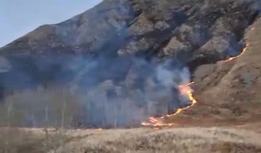 Erzurum'daki örtü yangını söndürüldü