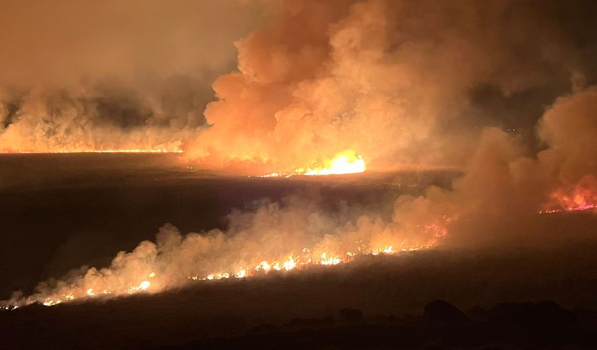 Hakkari’de Nehil Sazlığı’nda Yangın