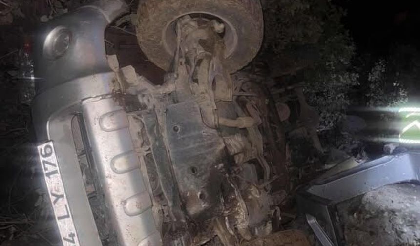 Mardin'de kamyonet şarampole devrildi