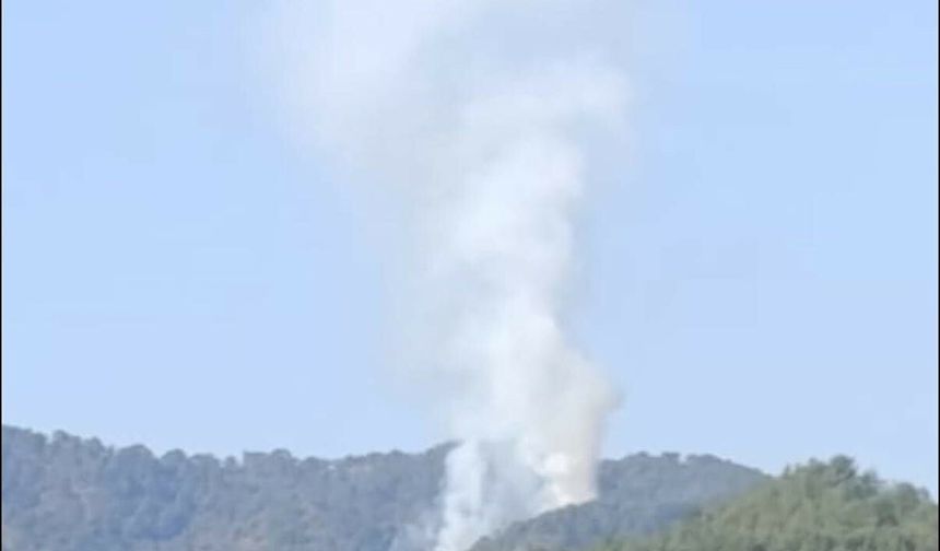 Muğla'da orman yangını