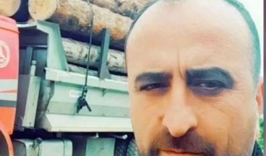 Üzerine ağaç devrildi