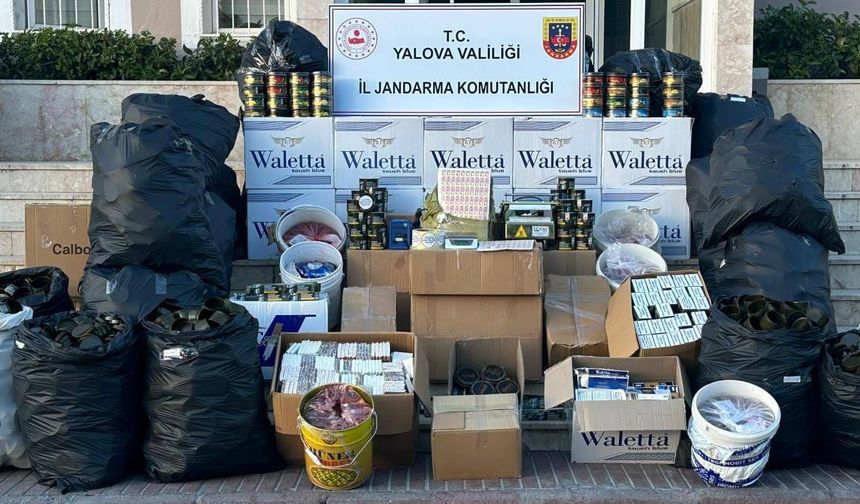 Yalova’da Kaçak Tütün Operasyonu: 238 Kilo Ele Geçirildi