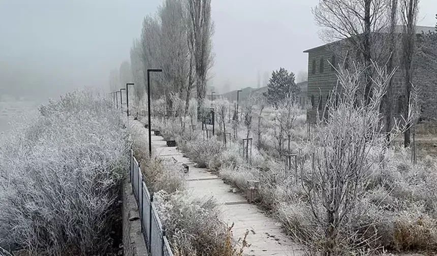 Ardahan'da sis ve kırağı etkili oldu