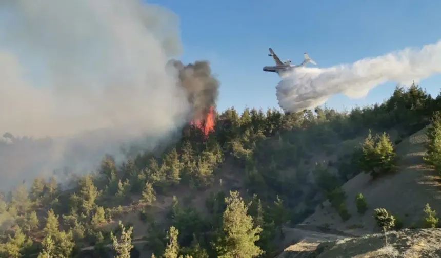 Kahramanmaraş'ta orman yangını çıktı