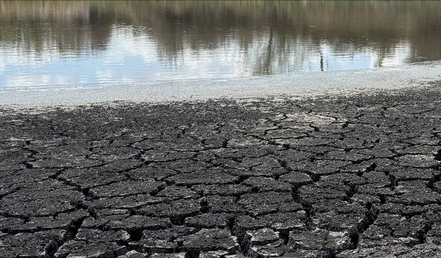 Dünyayı Tehdit Eden Su Krizi: 2025’te Küresel Kuraklık ve Alarm Verici Durum