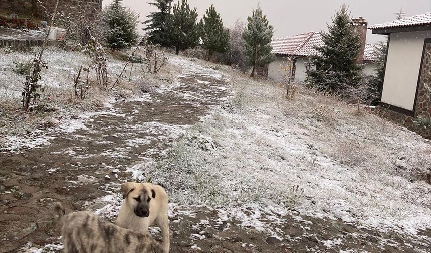 Ankara'ya Beklenen Kar Düştü!