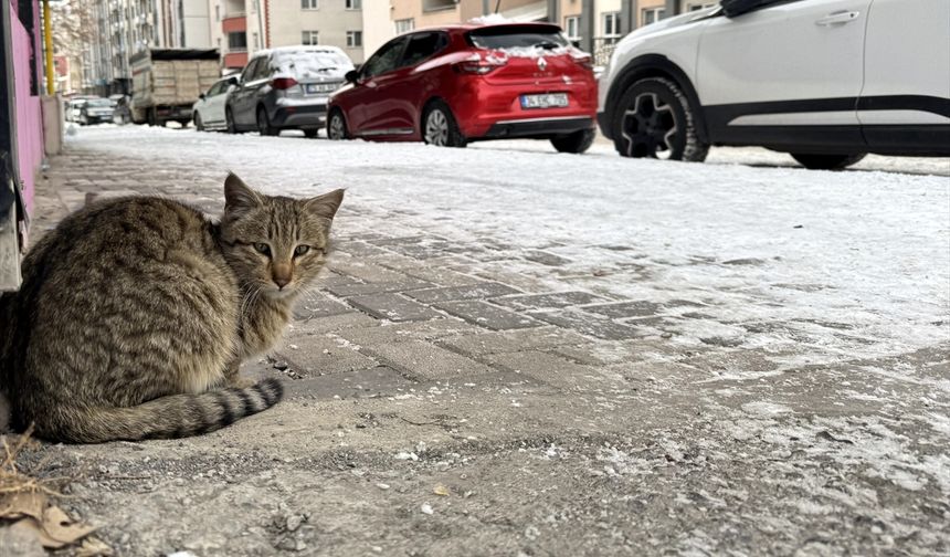 Doğu Anadolu’da kar sonrası dondurucu hava etkisini artırdı