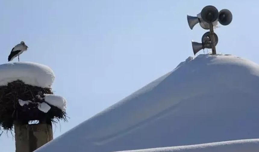 23 yıldır göç etmeyen leyleklere yenileri eklendi