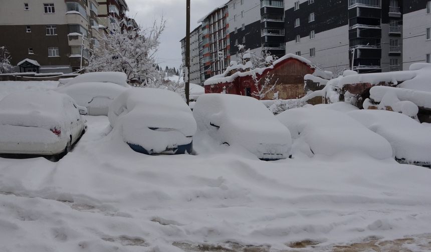 Bitlis'te kapanan 203 köy yolu açıldı
