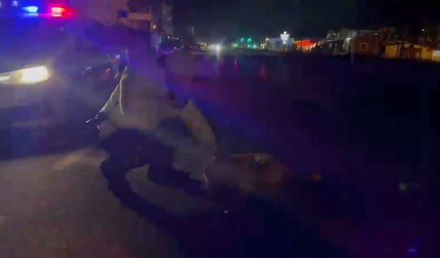 Hatay'da polis, yaralı köpeğin üstünü kendi montuyla örttü