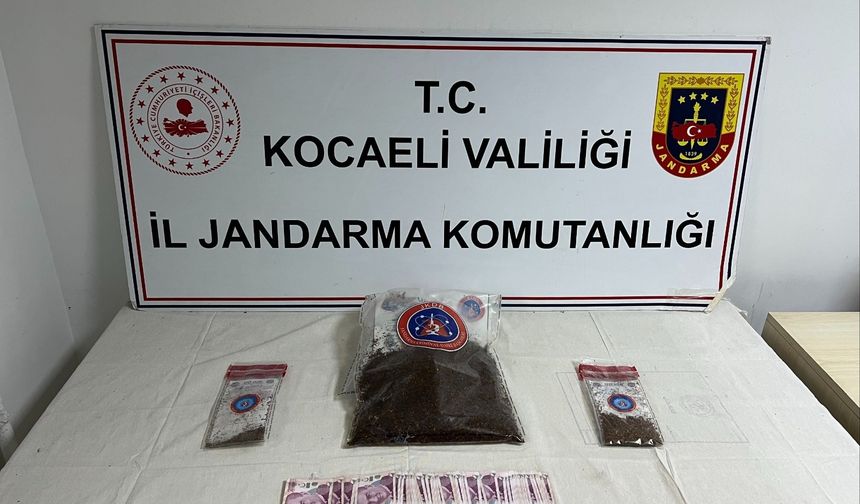 Kocaeli'nde apartman dairesinde bonzai bulundu
