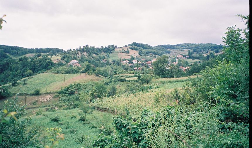 "Türkiye, yerleşmeler açısından adeta bir açık hava müzesi"