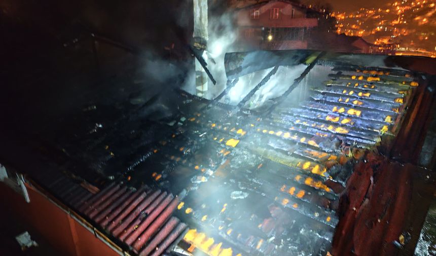 Zonguldak’ta yangında mahsur kalan papağan kurtarıldı