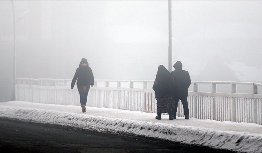 Ardahan'da kar yağışı etkili oldu