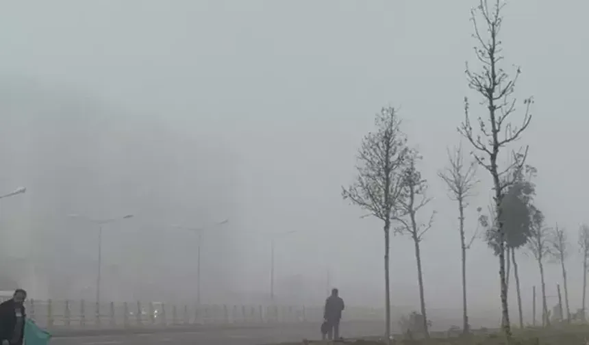 Diyarbakır'da uçaklar gecikmeli kalktı!