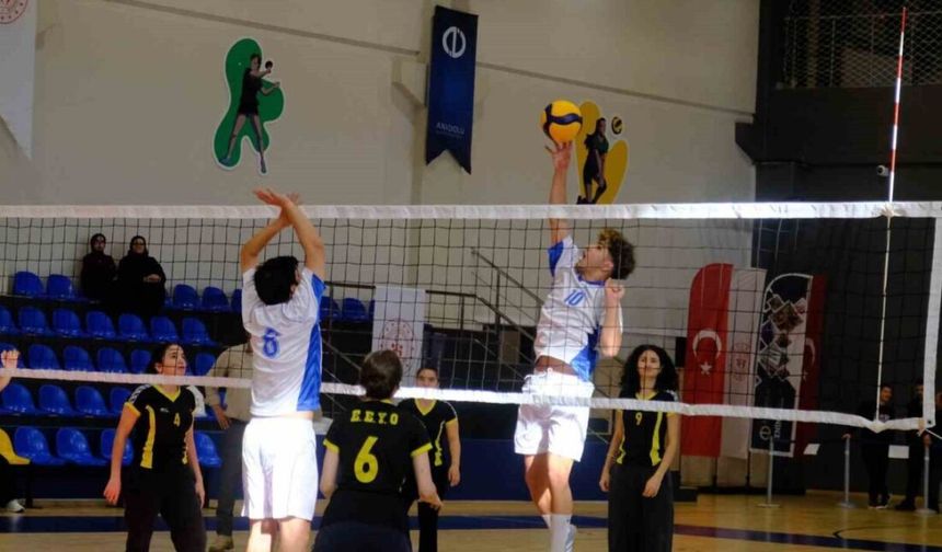 Eskişehir'de engelsiz voleybol maçı yapıldı