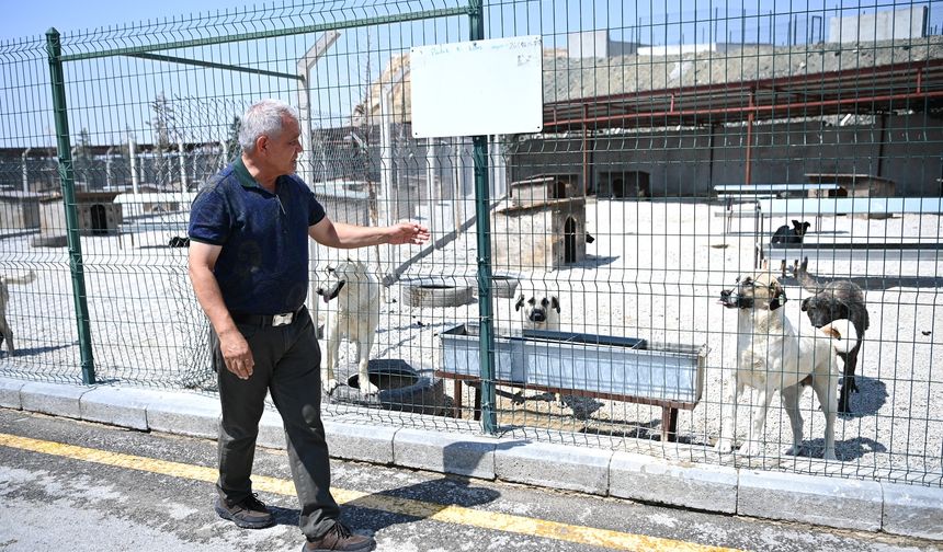 Mamak Belediyesi: Barınakta Rehin Alma İddiaları Asılsız!