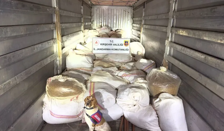 Kırşehir'de kaçak tütün operasyonu