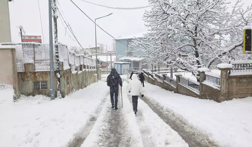 Van'da kar yağışı sebebiyle yollar kapandı