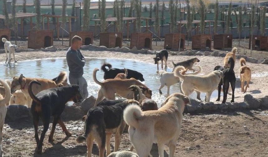 Ankara Patiliköy Mühürlendi!