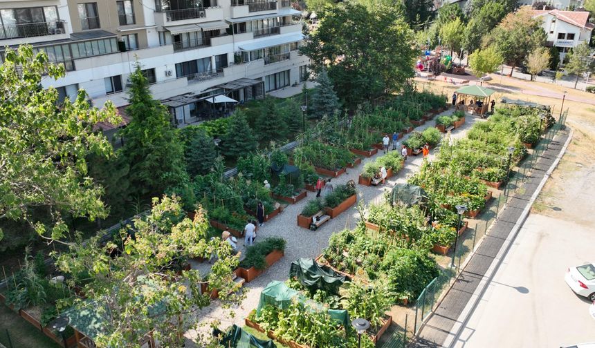 Çankaya’da Kent Bostanı Eğitimleri Başlıyor