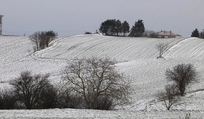 Trakya'da kar yağışı tarımı etkiledi
