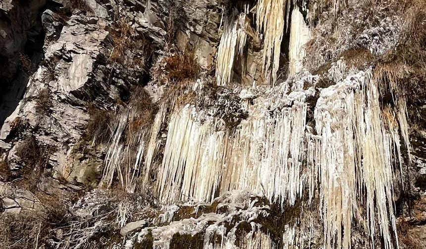 Ardahan’da Dondurucu Soğuk: Termometre Eksi 24,8’i Gördü