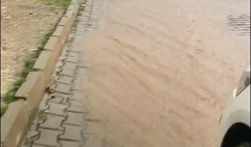 Aydın'da sağanak etkili oldu!