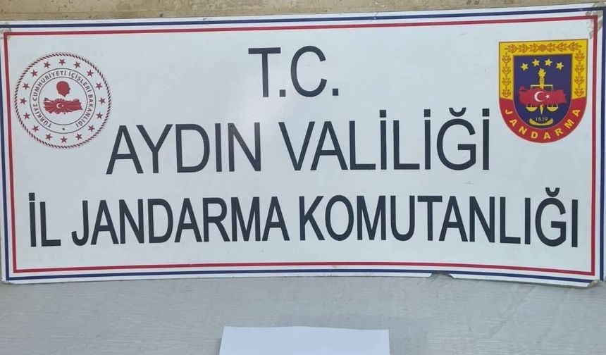 Aydın'ın iki ilçesinde 'Anadolu Mirası' operasyonu