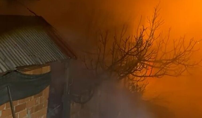 Bursa'da 2 katlı evde yangın