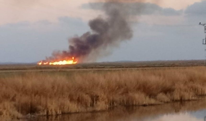 Eber Gölü’nde Aynı Anda 5 Noktada Yangın