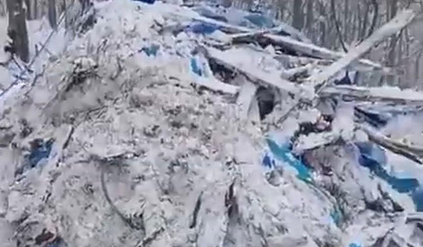 Gölköy’de kar ağılı çökertti: 7 koyun telef oldu