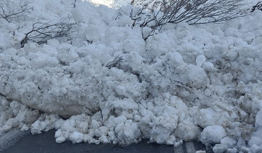 Hakkari-Çukurca kara yoluna çığ düştü