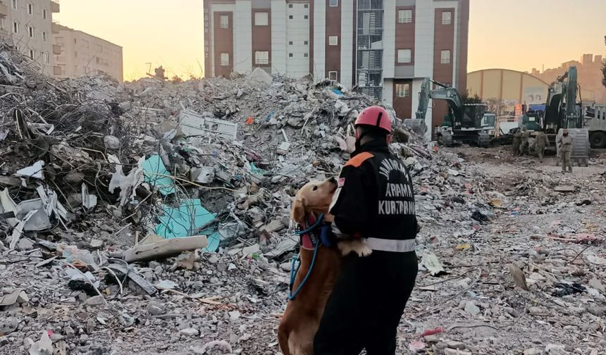 JAK Köpeği Ocak, 8 Yıllık Görevinde 48 Canı Hayata Bağladı