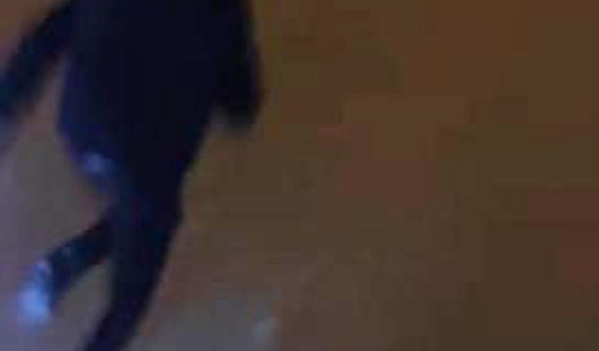 Muş’ta Kurt Dehşeti: Cep Telefonu ile Görüntülemek İsterken Canlarını Zor Kurtardılar