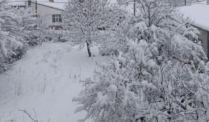 Samsun'da kar yağışı ulaşımı aksattı