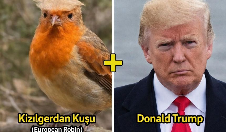 Ünye’de Siyaset Doğaya Taşındı: Trump’a Benzeyen Kuş Görenleri Güldürdü