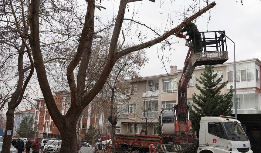 Keçiören’de Park ve Yeşil Alanlara Kış Bakımı Sürüyor
