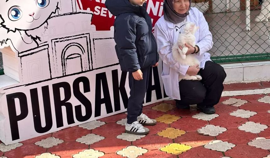 Miniklerden Ankara Kedilerine Sevgi Dolu Ziyaret