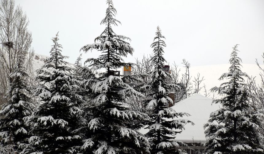 Erciş'te kar yağışı sürüyor