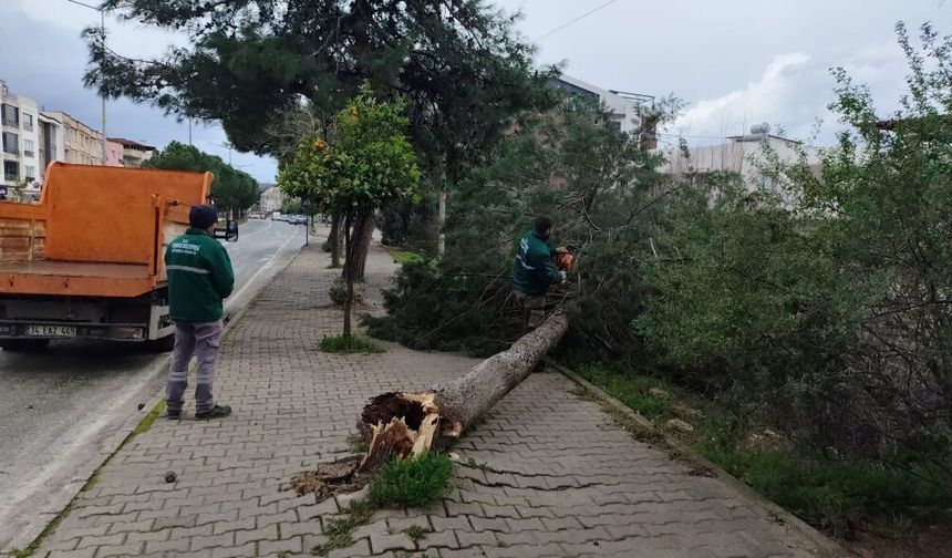 Kuşadası'nda fırtına ve sağanak