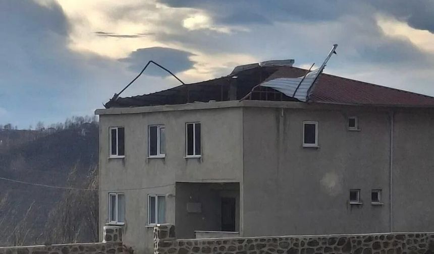 Ordu'nun yüksek kesimlerinde fırtına