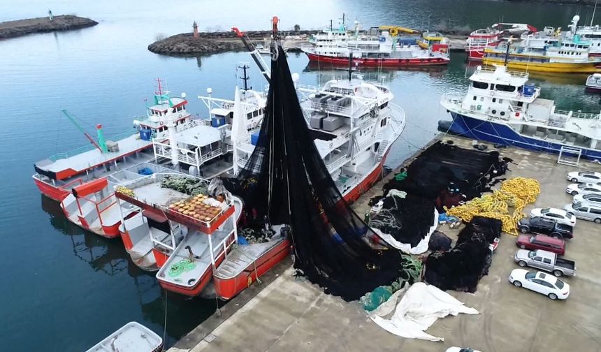 'Sessiz katil hayalet ağlara' robotik müdahale